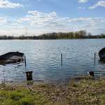 Hundeauslaufgebiet-Lambsheimer Weiher-Bild