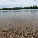 Hundeauslaufgebiet-Binsfeld-Bild