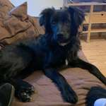 Ersteller:in Judith Profilbild