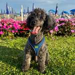 Ersteller:in Georgia Profilbild