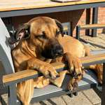 Ersteller:in Niels Profilbild