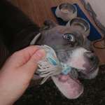 Ersteller:in Daniela Profilbild