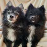 Ersteller:in Susanne Profilbild