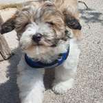 Ersteller:in Edda Profilbild