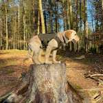 Ersteller:in Hermine Profilbild