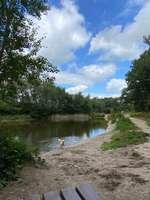 Hundeauslaufgebiet-Zum Rugenbarg-Bild