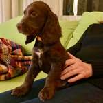 Ersteller:in Birgit Profilbild