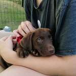 Ersteller:in Amy Profilbild