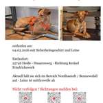 Suchmeldung-Bluna-Bild