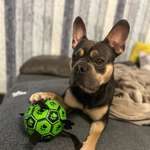 Ersteller:in Angelika Profilbild