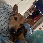 Ersteller:in Marie Profilbild