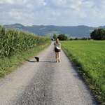 Ersteller:in Noemi Profilbild