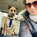 Ersteller:in Petra Profilbild