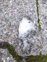 Erbrechen-Beitrag-Bild