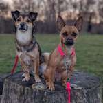 Ersteller:in Nicole Profilbild