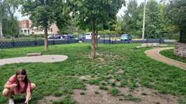 Hundeauslaufgebiet-Hundeauslauf Paunsdorf-Bild