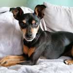 Ersteller:in Ivonne Profilbild