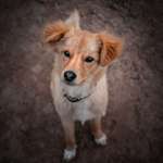 Ersteller:in Saskia Profilbild