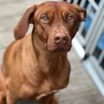 Ersteller:in André Profilbild