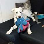 Ersteller:in Leonie Profilbild