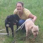 Ersteller:in Ariane Profilbild