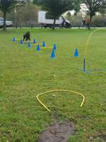 Hundeauslaufgebiet-Sieversstücken-Bild