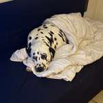 Ersteller:in Michelle Profilbild