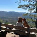 Ersteller:in Nicole Profilbild