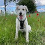 Ersteller:in Sarah Profilbild