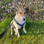 Ersteller:in Karin Profilbild