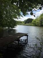 Hundeauslaufgebiet-Weldener Weiher-Bild