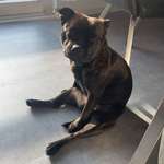 Ersteller:in Linda Profilbild