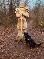 Hundeauslaufgebiet-Auenlandweg-Bild