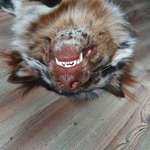 Ersteller:in Michaela Profilbild