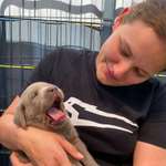 Ersteller:in Sandra Profilbild