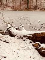 Hundeauslaufgebiet-Seußlitzer Grund-Bild