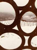 Hundeauslaufgebiet-Seußlitzer Grund-Bild