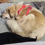 Ersteller:in Marc Profilbild