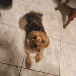 Ersteller:in Adriana Profilbild