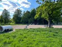 Hundeauslaufgebiet-Parkanlage Galgenberg-Bild