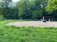 Hundeauslaufgebiet-Parkanlage Galgenberg-Bild