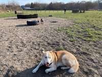 Hundeauslaufgebiet-Bergkamen Werner Straße-Bild
