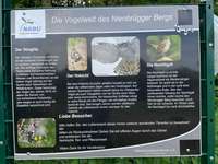 Hundeauslaufgebiet-Nienbrügger Berg-Bild