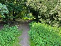 Hundeauslaufgebiet-Nienbrügger Berg-Bild