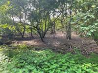 Hundeauslaufgebiet-Nienbrügger Berg-Bild