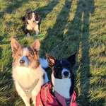 Ersteller:in Nina Profilbild