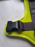 Hundegeschirr Hunter Maldon-Beitrag-Bild