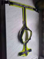 Hundegeschirr Hunter Maldon-Beitrag-Bild