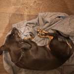 Ersteller:in Ela Profilbild