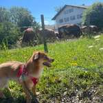 Ersteller:in Nora Profilbild